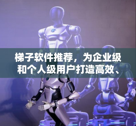 梯子软件推荐，为企业级和个人级用户打造高效、安全的解决方案