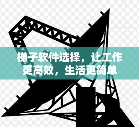 梯子软件选择，让工作更高效，生活更简单