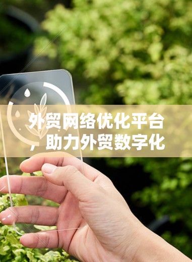 外贸网络优化平台，助力外贸数字化转型，提升企业竞争力