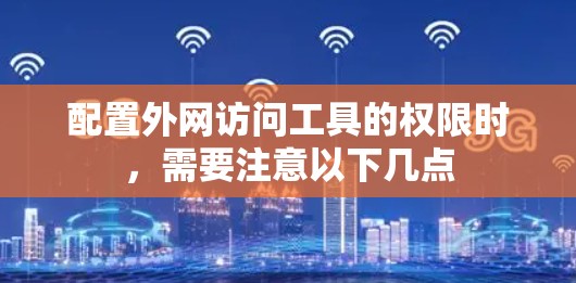 配置外网访问工具的权限时，需要注意以下几点