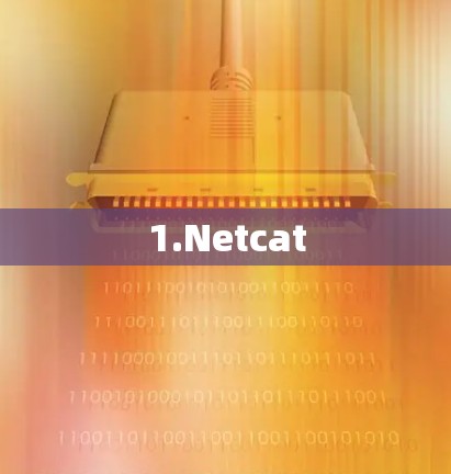 1.Netcat