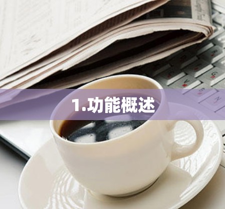 1.功能概述