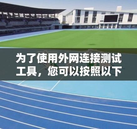为了使用外网连接测试工具，您可以按照以下步骤进行操作