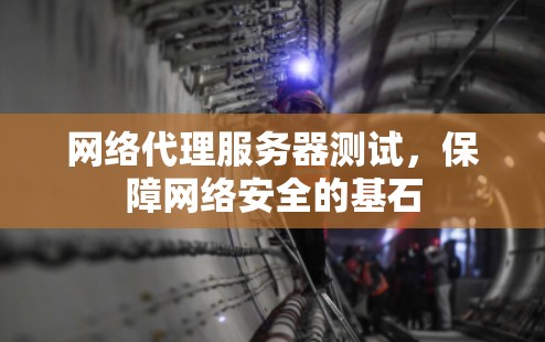 网络代理服务器测试，保障网络安全的基石