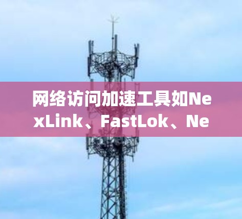 网络访问加速工具如NexLink、FastLok、Netpro、RenoNet、NetLok、Netstream和Netstream 2等，各有其特点和适用场景。以下是详细的分析和建议