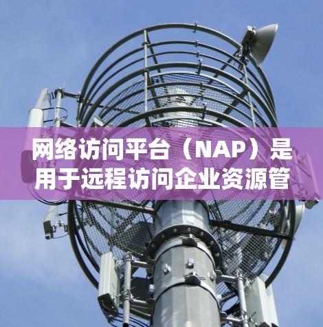 网络访问平台（NAP）是用于远程访问企业资源管理系统（EMR）的平台，配置教程通常包含以下步骤