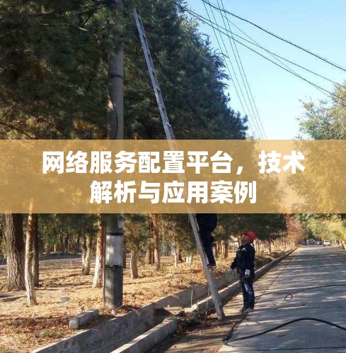 网络服务配置平台，技术解析与应用案例