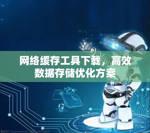网络缓存工具下载，高效数据存储优化方案