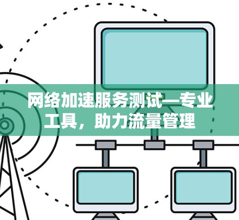 网络加速服务测试—专业工具，助力流量管理