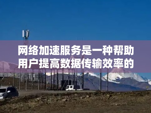 网络加速服务是一种帮助用户提高数据传输效率的工具，通过调整流量分配、减少延迟和优化路径，用户可以更高效地获取网络连接。以下是一些网络加速服务的体验分享，供你参考