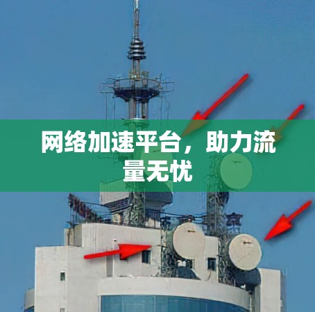 网络加速平台，助力流量无忧