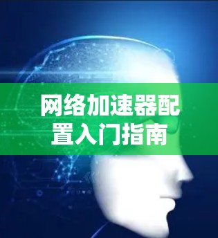 网络加速器配置入门指南
