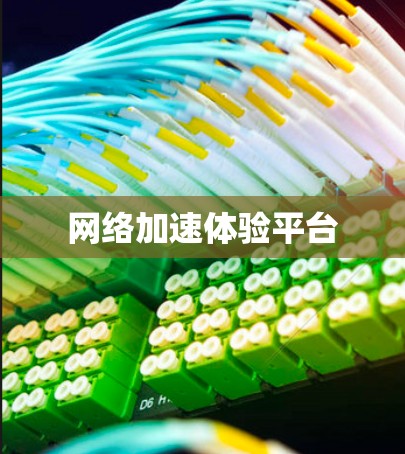 网络加速体验平台