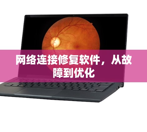 网络连接修复软件，从故障到优化