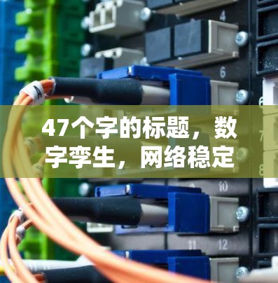 47个字的标题，数字孪生，网络稳定检测平台的未来之光