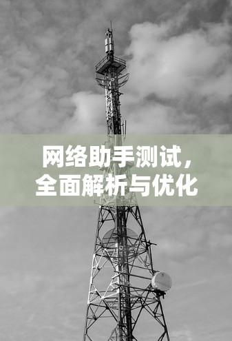 网络助手测试，全面解析与优化建议