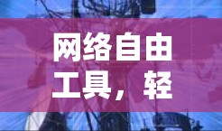 网络自由工具，轻松网络管理指南