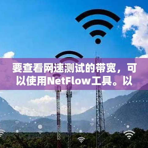 要查看网速测试的带宽，可以使用NetFlow工具。以下是详细的步骤指南