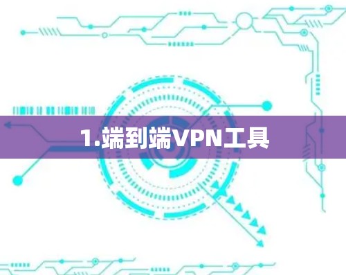 1.端到端VPN工具
