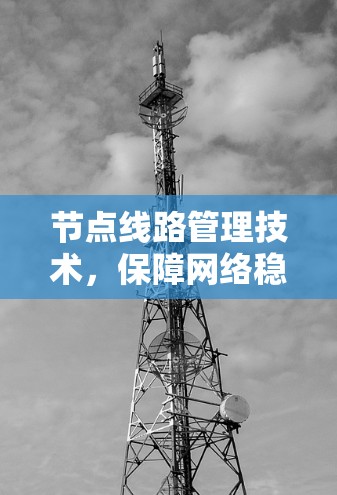 节点线路管理技术，保障网络稳定的高效解决方案