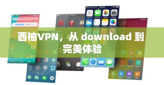 西柚VPN，从 download 到 完美体验