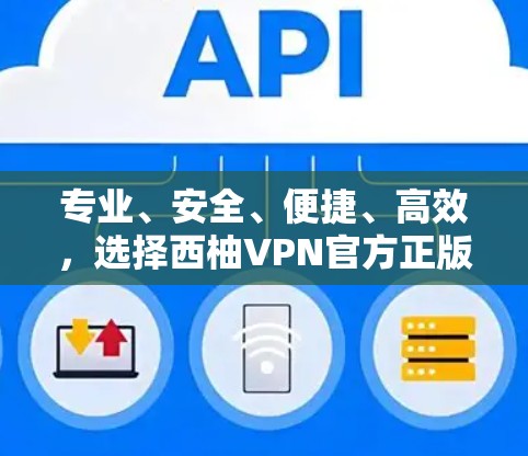 专业、安全、便捷、高效，选择西柚VPN官方正版软件