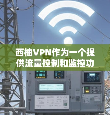 西柚VPN作为一个提供流量控制和监控功能的网络服务，其测速和流量指数的变化情况可以反映其在流量管理和性能方面的表现。以下是基于提供的数据，对西柚VPN的测速和流量指数进行分析