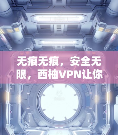 无痕无痕，安全无限，西柚VPN让你轻松享受跨国VPN体验