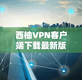 西柚VPN客户端下载最新版