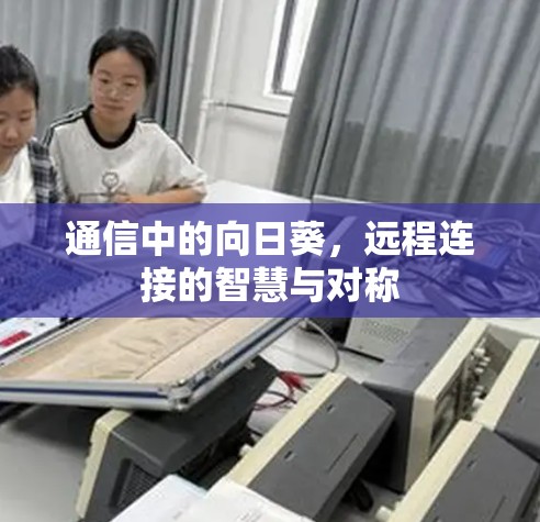 通信中的向日葵，远程连接的智慧与对称