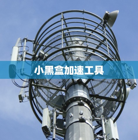 小黑盒加速工具