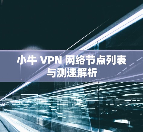 小牛 VPN 网络节点列表与测速解析