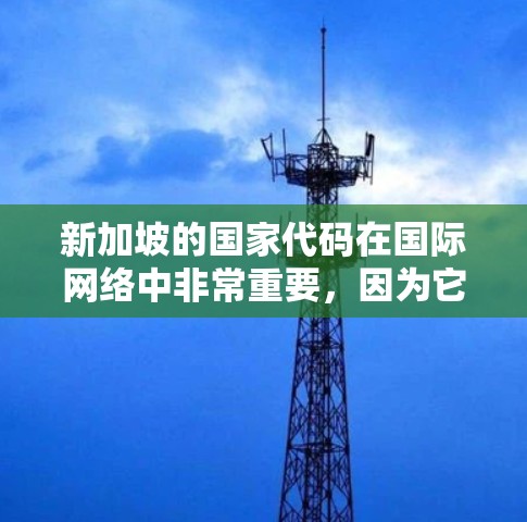 新加坡的国家代码在国际网络中非常重要，因为它反映了新加坡作为一个国家的国际地位和位置。国家代码的分配通常遵循国际规则，如ISO 861标准，以确保IP地址的分配和使用符合国际规则