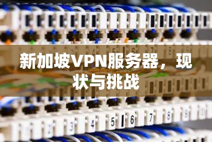 新加坡VPN服务器，现状与挑战