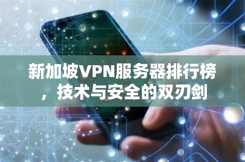 新加坡VPN服务器排行榜，技术与安全的双刃剑