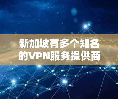 新加坡有多个知名的VPN服务提供商，这些公司提供安全、可靠和丰富的VPN服务。以下是新加坡主要的VPN提供商及其服务特点