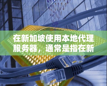 在新加坡使用本地代理服务器，通常是指在新加坡本地服务器上部署本地代理服务器来处理国际访问。本地代理服务器在新加坡本地服务器上运行，通过代理技术将来自新加坡地区的网站或应用映射到本地服务器上的资源
