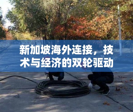 新加坡海外连接，技术与经济的双轮驱动
