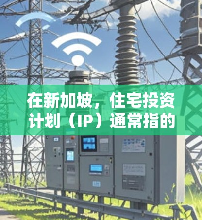 在新加坡，住宅投资计划（IP）通常指的是投资者在新加坡购买或租售住宅房产，用于投资或增值。新加坡的住宅投资市场近年来发展迅速，拥有丰富的政策支持和市场潜力
