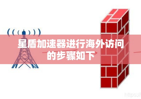 星盾加速器进行海外访问的步骤如下