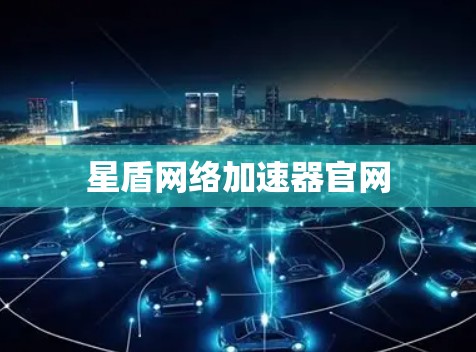 星盾网络加速器官网