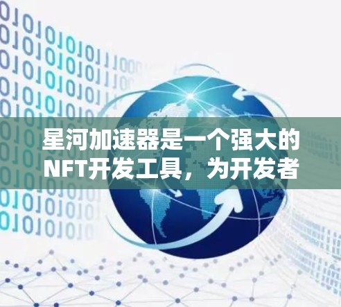 星河加速器是一个强大的NFT开发工具，为开发者提供了多种节点支持，用户可以根据自己的需求选择合适的节点。以下是星河加速器节点的推荐，涵盖了不同的功能需求