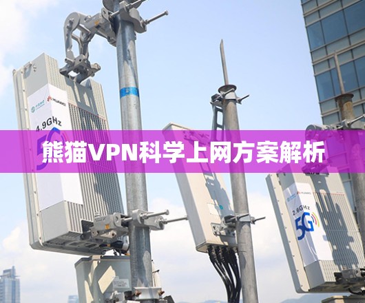 熊猫VPN科学上网方案解析