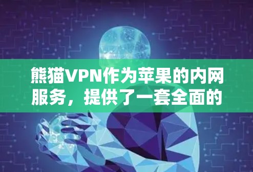 熊猫VPN作为苹果的内网服务，提供了一套全面的网络解决方案，适合需要多种功能和安全性的用户。以下是对熊猫VPN在iOS科学上网中的具体分析
