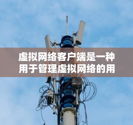 虚拟网络客户端是一种用于管理虚拟网络的用户界面工具，它通过与服务器的API交互，允许用户和开发者在虚拟网络中进行操作和管理，包括配置、监控、优化和安全检查。以下是对虚拟网络客户端的详细说明