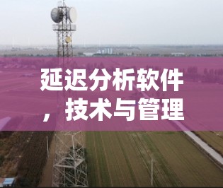 延迟分析软件，技术与管理的平衡点