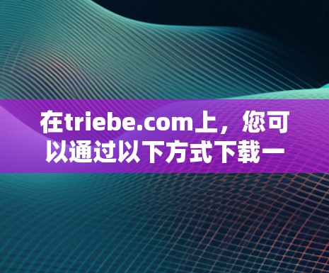 在triebe.com上，您可以通过以下方式下载一些与机场相关的软件或资源
