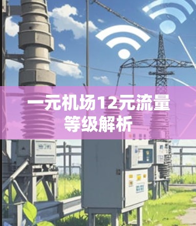 一元机场12元流量等级解析