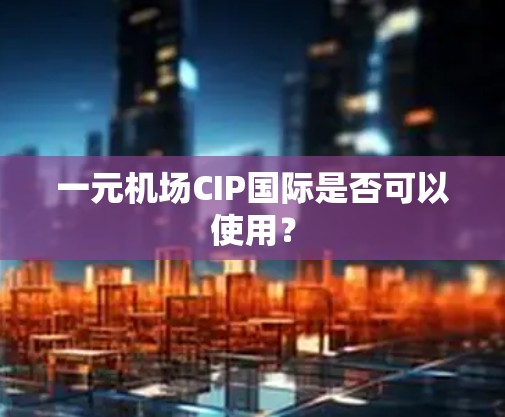 一元机场CIP国际是否可以使用？