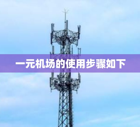 一元机场的使用步骤如下